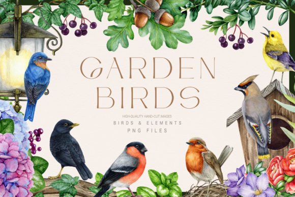 Download Garden Birds Watercolor Illustration Set - Garden Collection